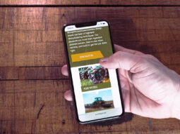 Mobile view of a website
